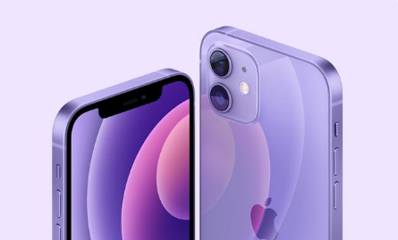 竹溪苹果手机维修分享紫色版iPhone 12有什么技术亮点 
